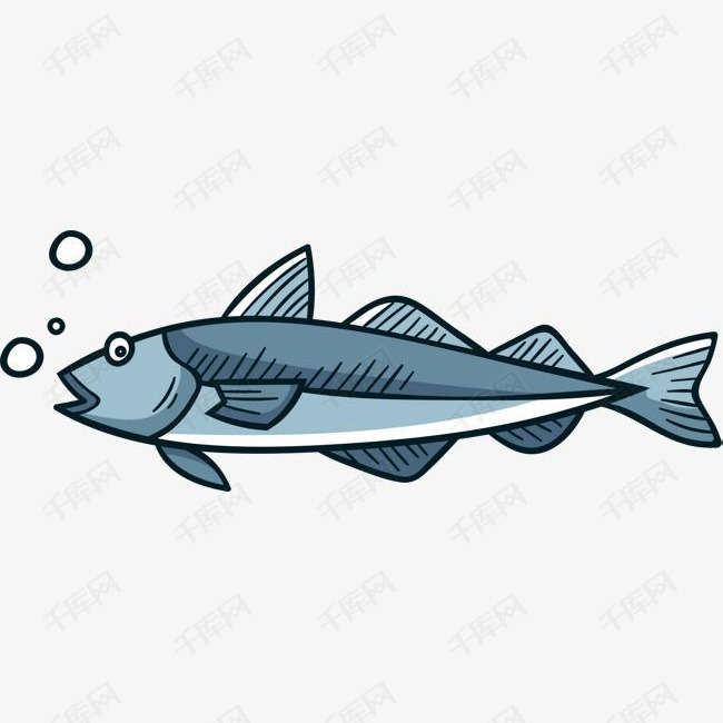 海洋生物冒泡的鱼