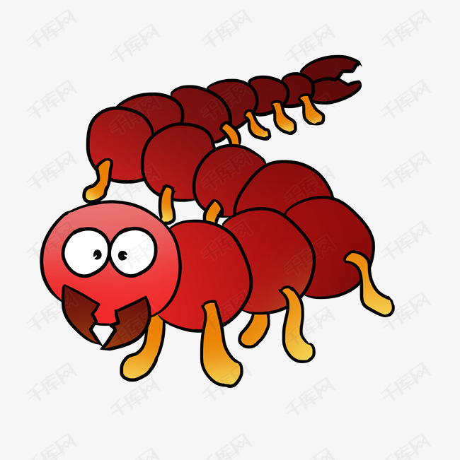 蜈蚣夏季昆虫插画