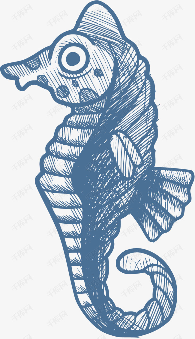 海洋生物手绘海马