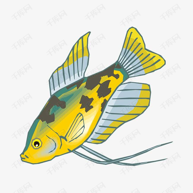 黄色黑斑海鱼卡通图的素材免抠卡通黑斑海鱼胡须海生生物手绘图鱼尾