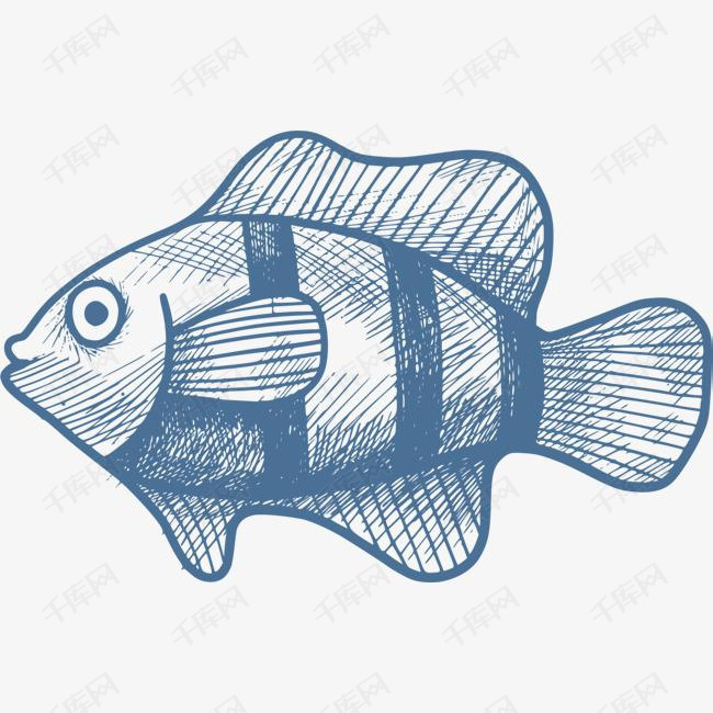 海洋生物手绘蓝色小鱼的素材免抠海洋生物手绘小鱼一条鱼绘画画画蓝色