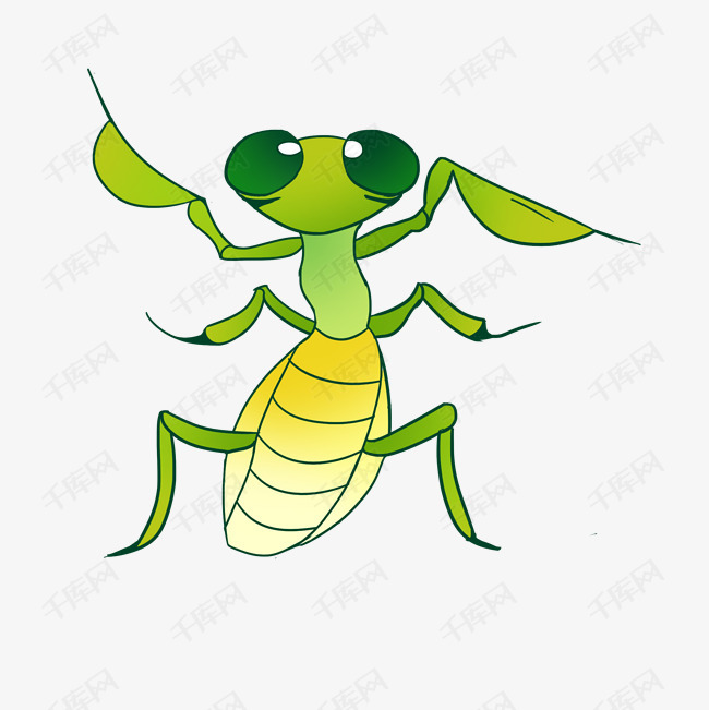 可小昆虫螳螂插画
