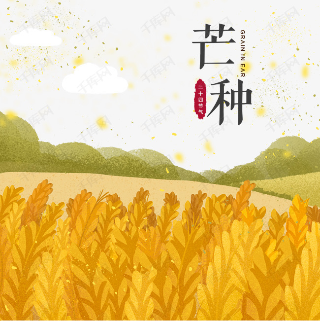 芒种水彩草丛夏天