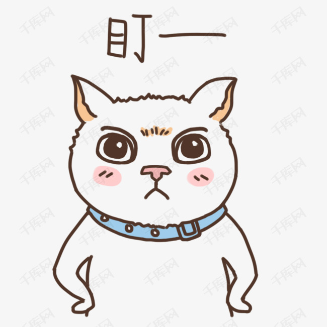 表情盯——小猫咪插画