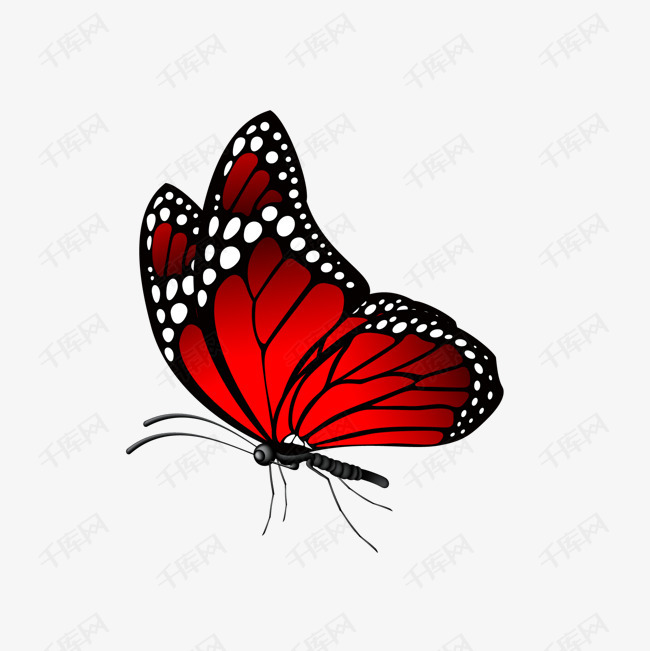 卡通红色的蝴蝶设计