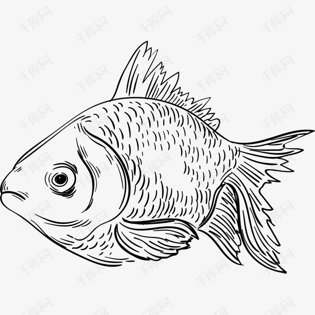 世界海洋日素描小鱼