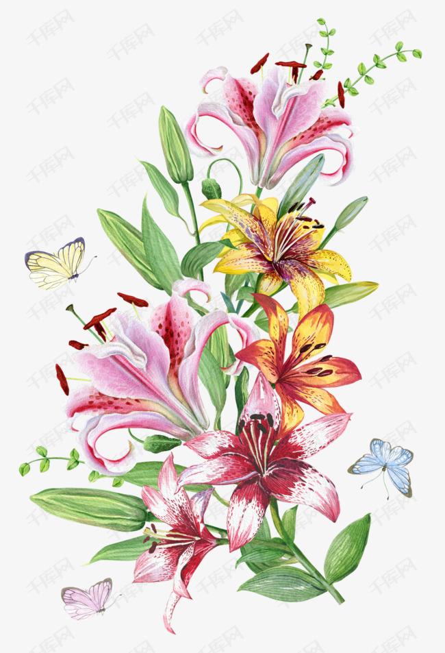 美丽的百合花的素材免抠卡通手绘创意动漫动画简约美丽的花卉百合花