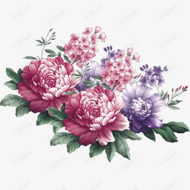 卡通手绘美丽的牡丹花