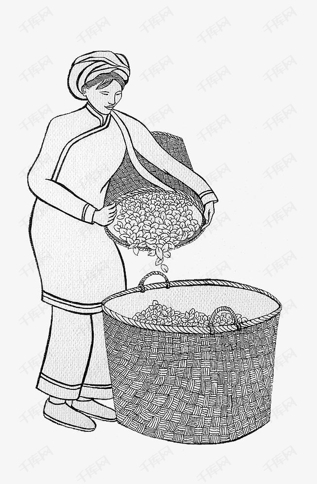 采茶运茶过程手绘图案