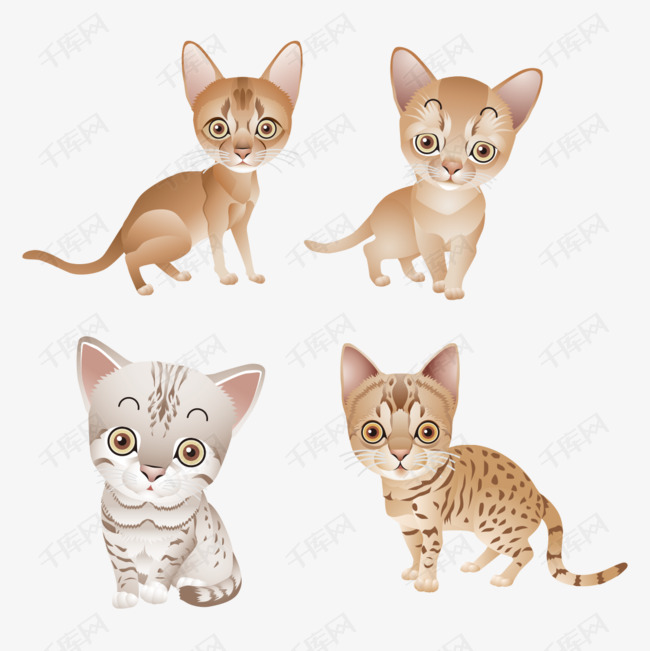 手绘小猫