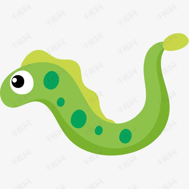 海洋生物绿色鳗鱼