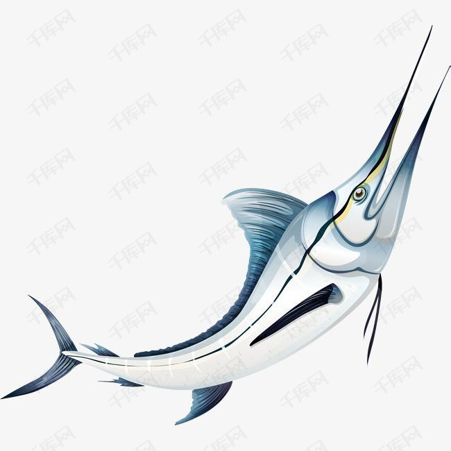 尖嘴金枪鱼的素材免抠矢量素材海鱼金枪鱼海洋生物海鲜