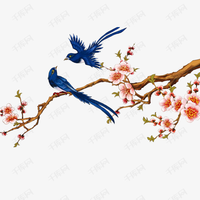 梅花树枝上的喜鹊