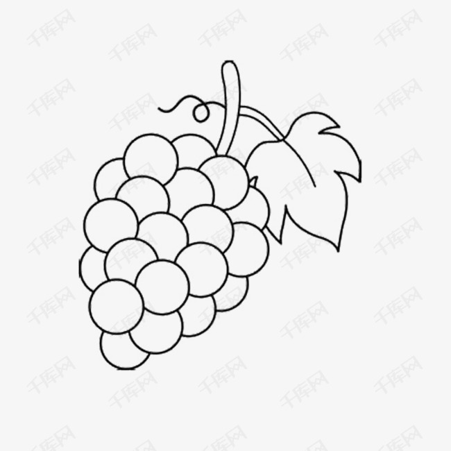 无色可爱葡萄简笔画的素材免抠无色简单葡萄可爱黑白饱满