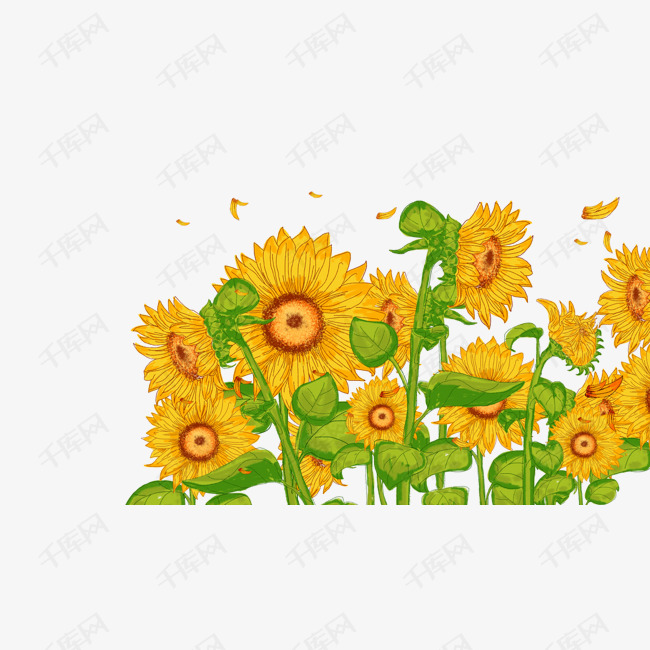免抠卡通手绘向日葵植物