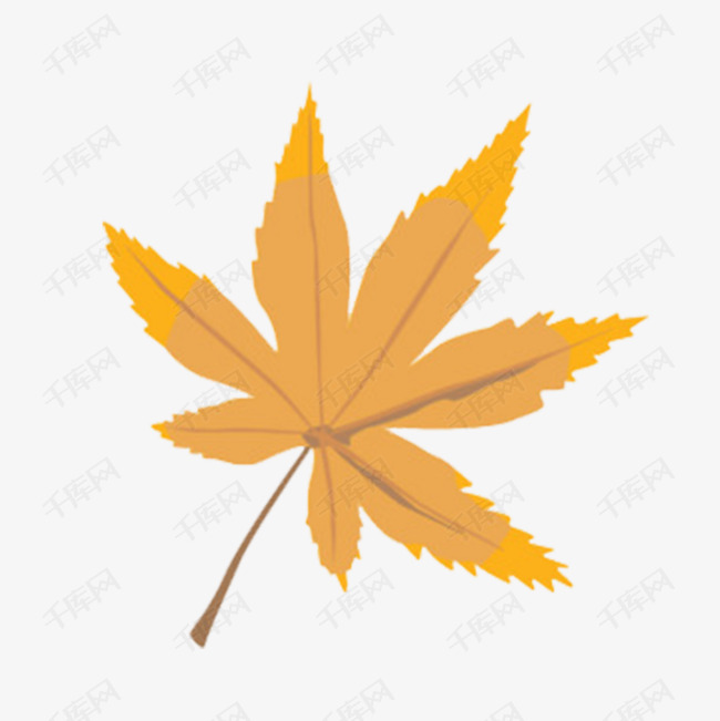 手绘黄色秋天的枫叶图片