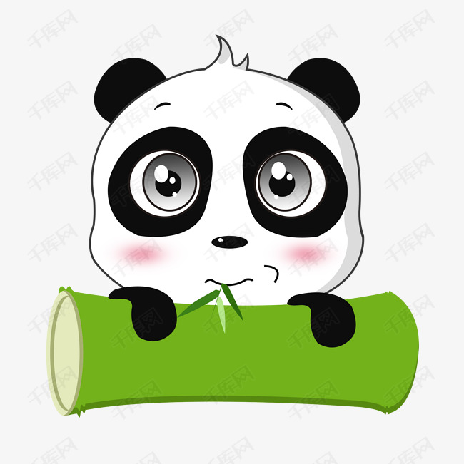 夏季熊猫吃绿色竹子