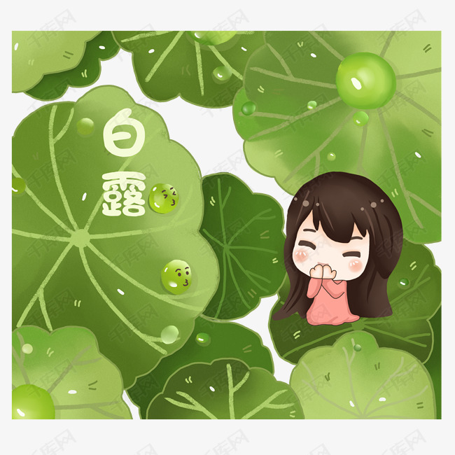 二十四节气白露叶子