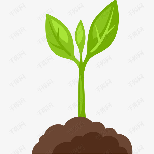 植物生长免抠png                                            幼苗