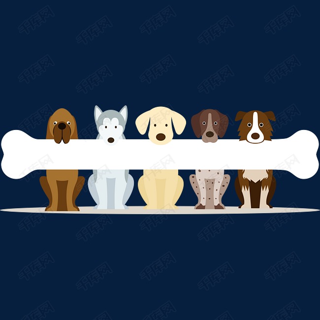 五只狗狗叼着一块骨头