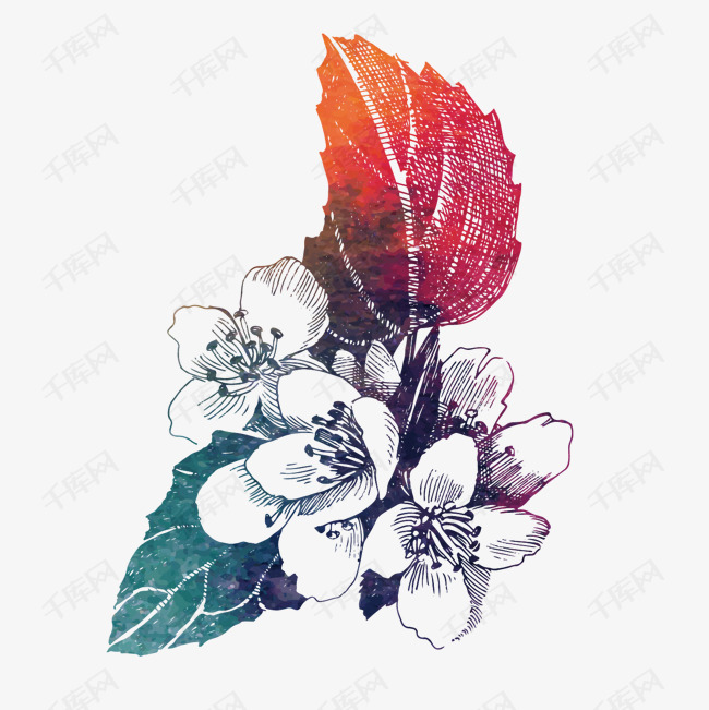 手绘创意花朵设计素材
