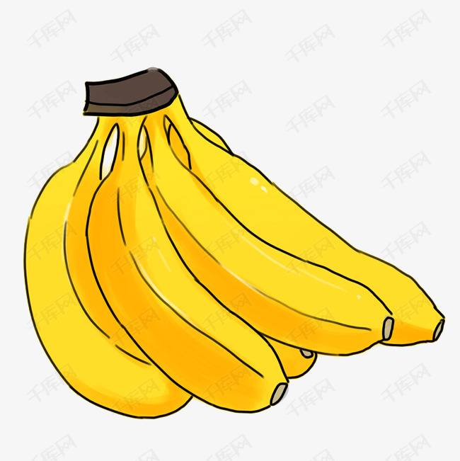 秋季农作物水果香蕉手绘插画