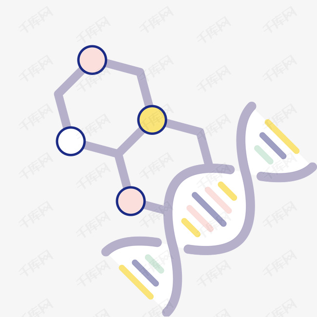 卡通手绘dna分子