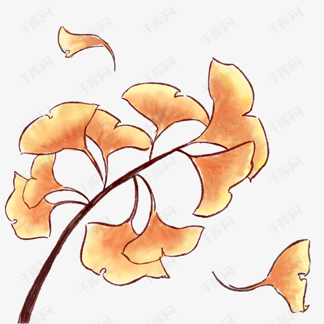 秋季主题植物落叶手绘插画