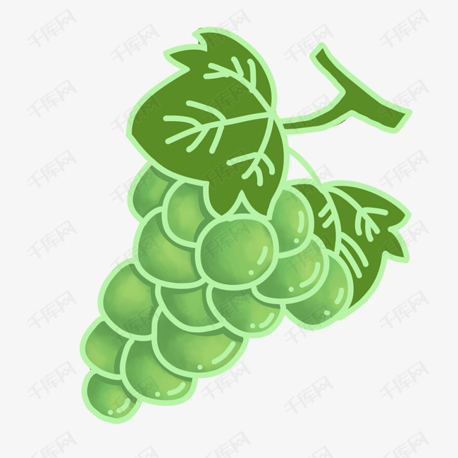 葡萄手绘插画