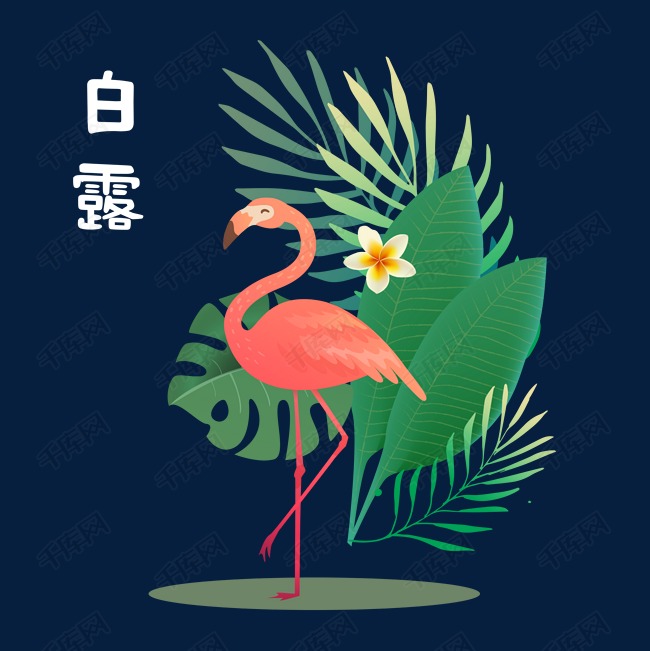 白露节气手绘插画