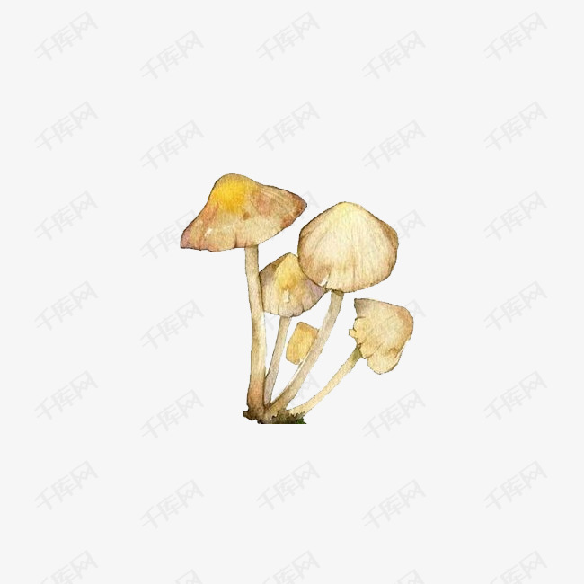 手绘卡通菌类小蘑菇