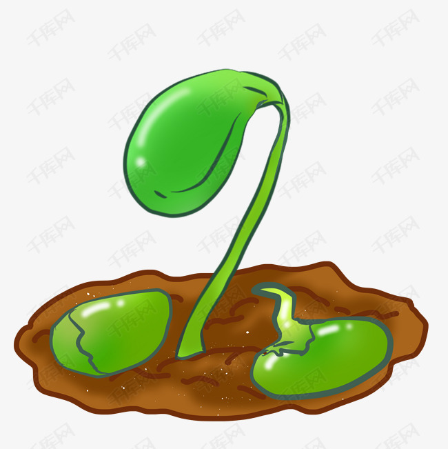 种子发芽小苗插画