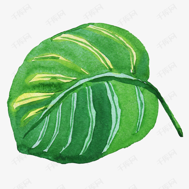 一片大片的可爱树叶的素材免抠叶子绿色清新手绘枝叶植物