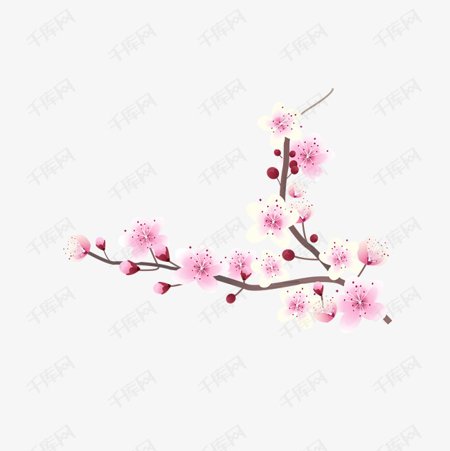 矢量卡通唯美腊梅花枝