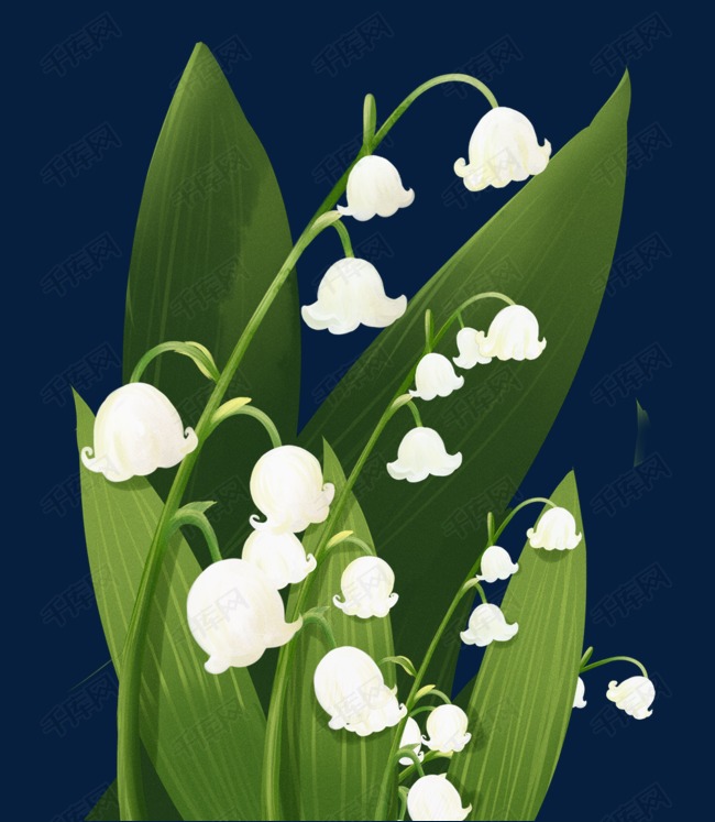花卉植物主题之铃兰主题插画