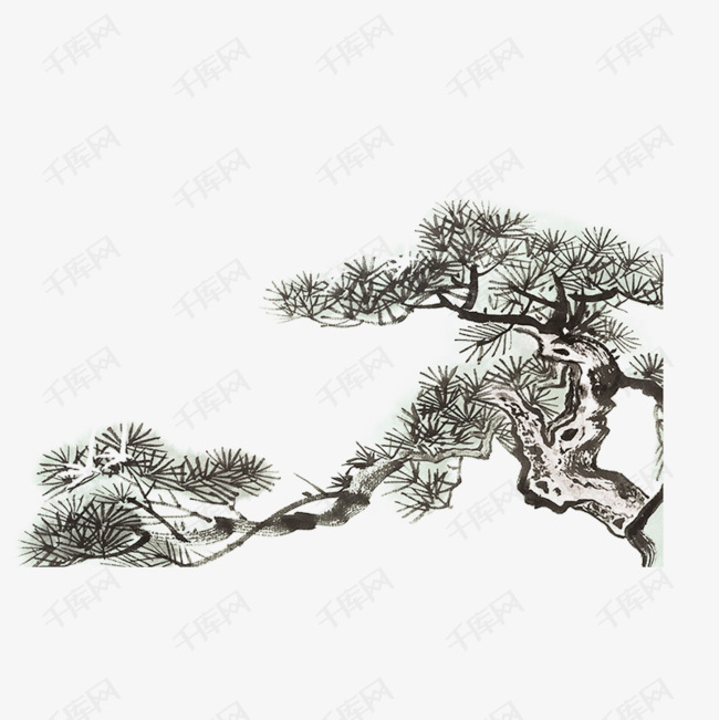 中国风水墨国画松树