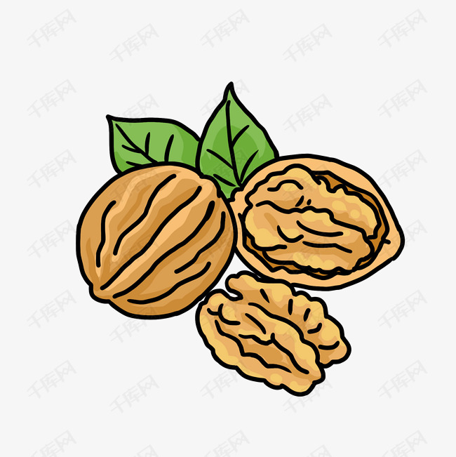 卡通手绘养生核桃果肉插画