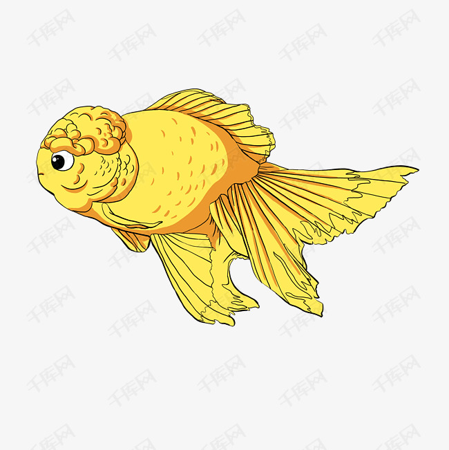 美丽水生动物金色金鱼茶金