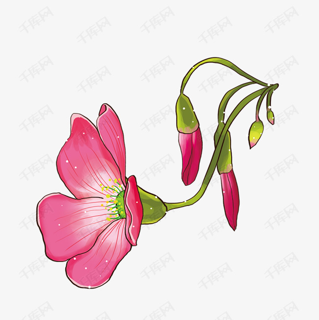 清新紫色花朵花蕾插画