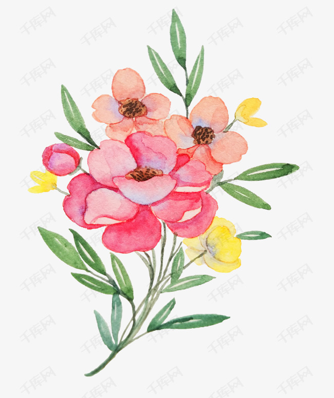 手绘粉色的牡丹花插画