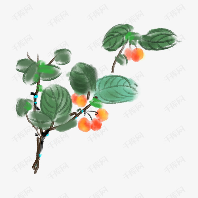 黄色的樱桃树插画