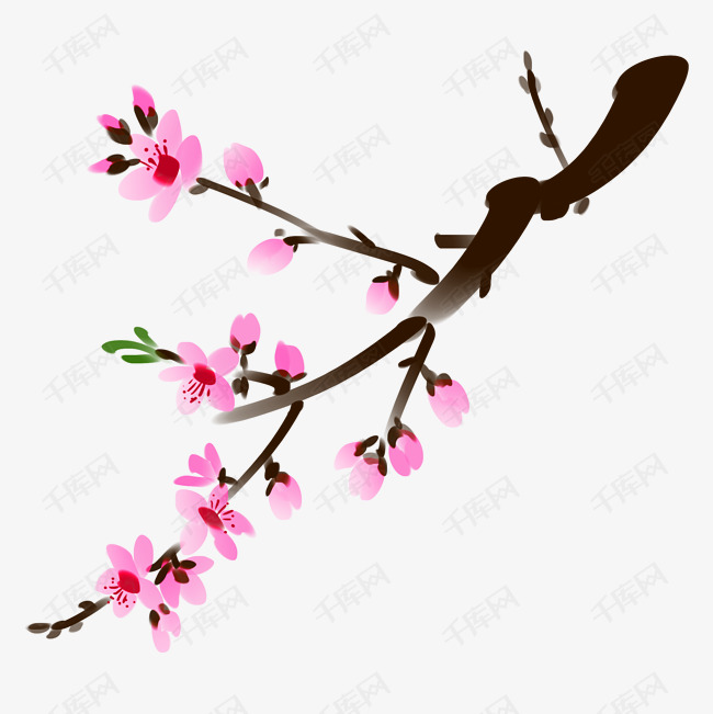 水墨树枝粉色梅花