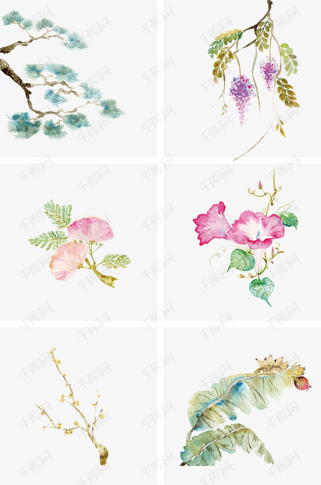 中国古风手绘水彩植物插画素材图片免费下载-千库网