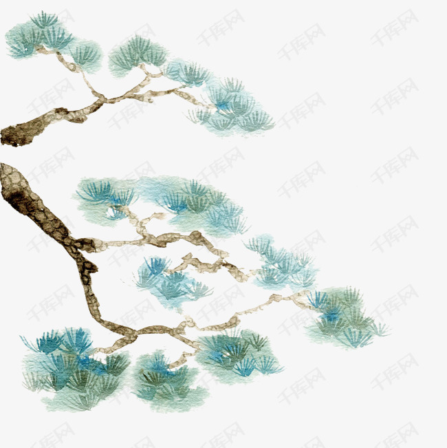 中国古风手绘水彩植物松柏插画