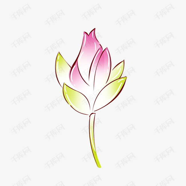 手绘植物粉红色手绘荷花花苞