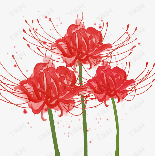 唯美手绘古风红色水彩花朵