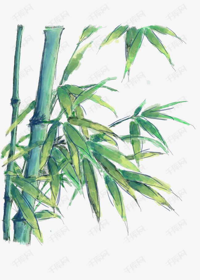 中国风卡通手绘绿色竹子手绘免抠png