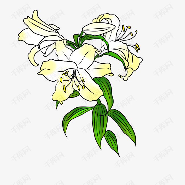 卡通手绘白色杜鹃花插画