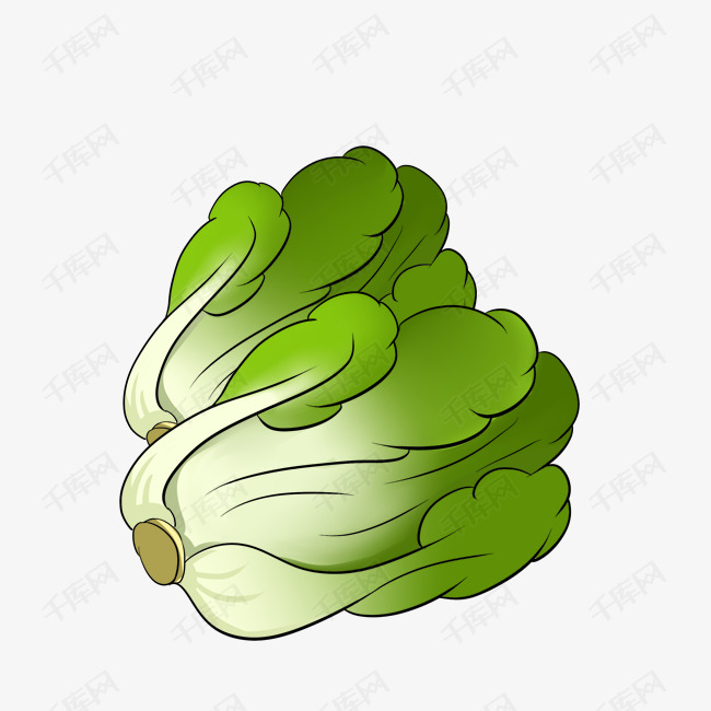 卡通手绘绿色的蔬菜白菜