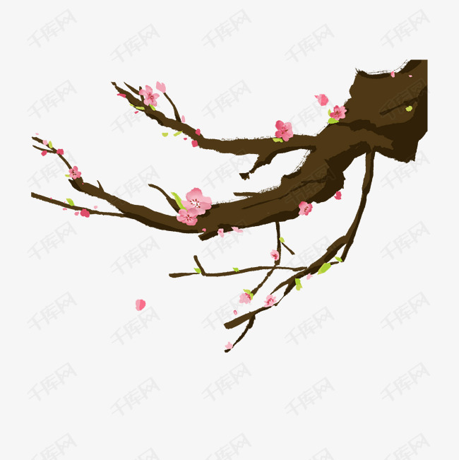 古风花枝寒梅插画